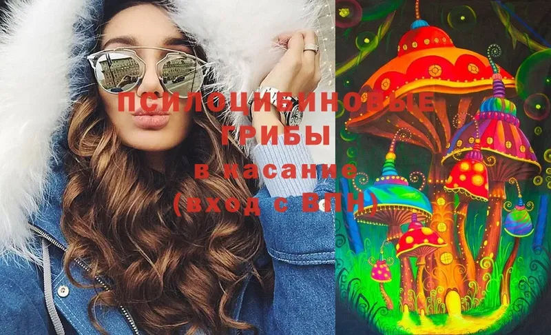 закладка  Шимановск  Псилоцибиновые грибы MAGIC MUSHROOMS 